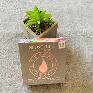 (3/$30) SPONGELLE infused body buffer.